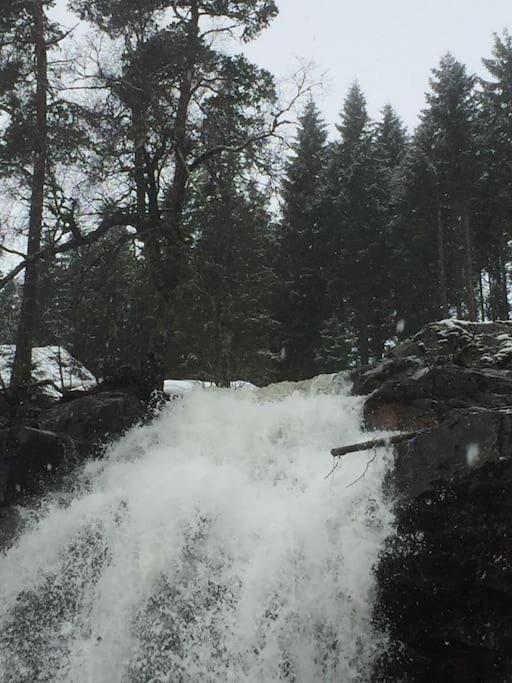 Voss - Flott I Bavallen Skulestadmo