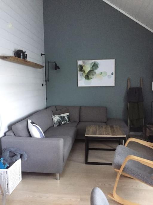 Voss - Flott I Bavallen Holiday home Skulestadmo